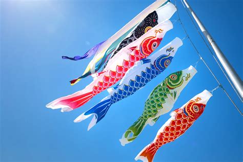 鯉魚意思|鯉魚 in English